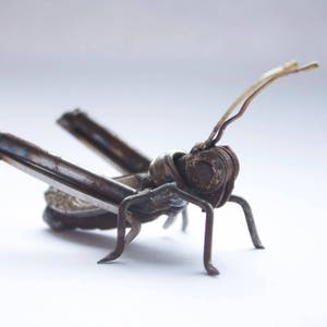 Grasshopper Sculpture, Made and ready to ship, Recycled Art, Repurposed, Scrap Metal Art, Metal Insect image 5