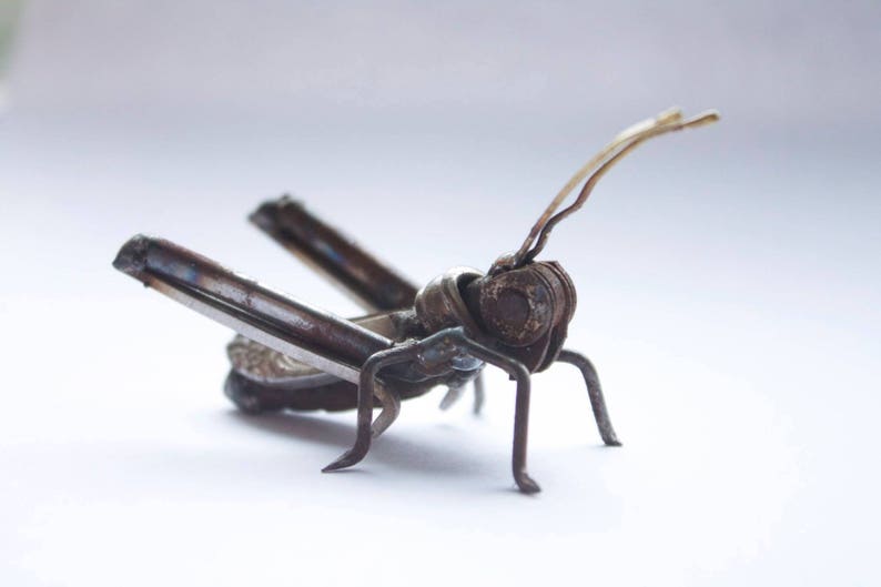 Grasshopper Sculpture, Made and ready to ship, Recycled Art, Repurposed, Scrap Metal Art, Metal Insect image 5
