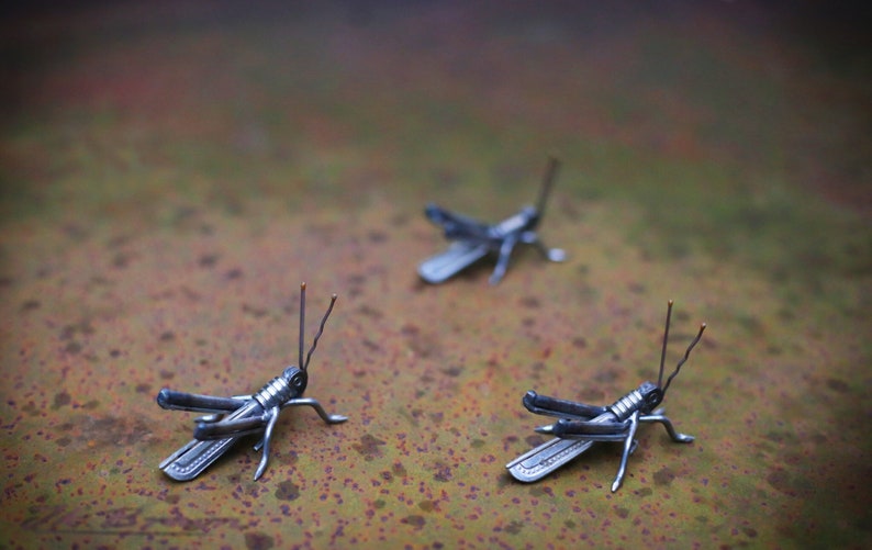 Grasshopper Sculpture, Made and ready to ship, Recycled Art, Repurposed, Scrap Metal Art, Metal Insect image 1