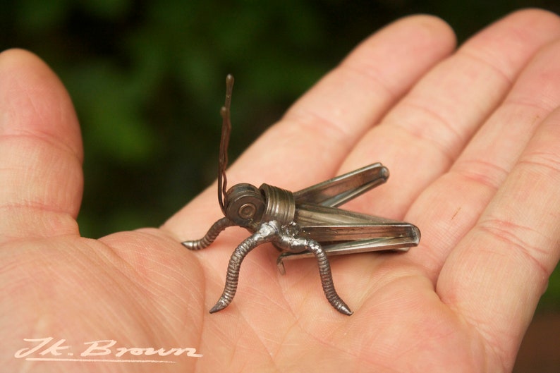 Grasshopper Sculpture, Made and ready to ship, Recycled Art, Repurposed, Scrap Metal Art, Metal Insect image 2