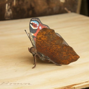 Metal Butterfly Sculpture, Scrap Metal, Peacock Butterfly, Oil Painted, Original Artwork, UK Wildlife. image 3