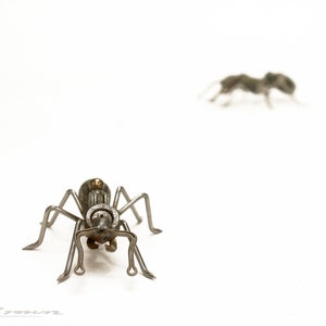 May include: Two silver metal ants, one facing the camera and the other facing away, are on a white surface.