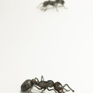 May include: Two metal ant sculptures on a white background. The ant on the bottom is facing the right and the ant on the top is facing the left.