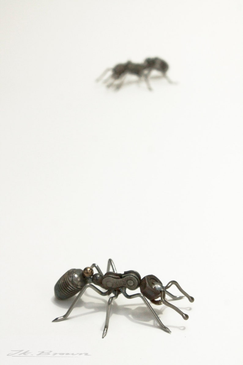 May include: Two metal ant sculptures on a white background. The ant on the bottom is facing the right and the ant on the top is facing the left.