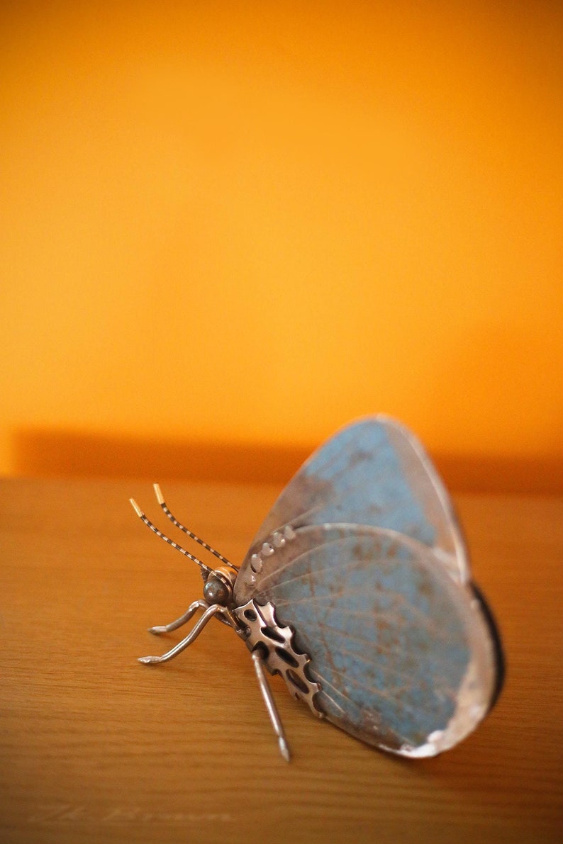 May include: A blue metal butterfly sculpture with intricate details. The wings are textured and have a faded blue color. The butterfly is sitting on a wooden surface.