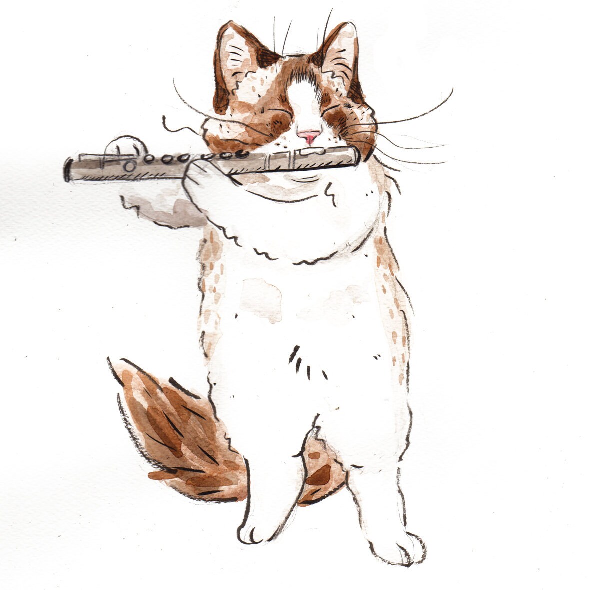 Bicolor Ragdoll Cat Playing the Flute Flutist Flute Player Etsy UK