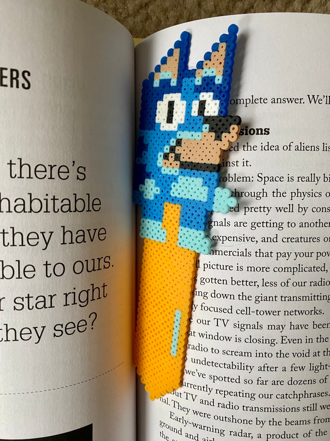 Bluey Bookmark Etsy