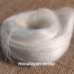 20 gr- 0,70 oz, Himalayan Nettle roving fiber, tops (combed sliver), unpainted fibers