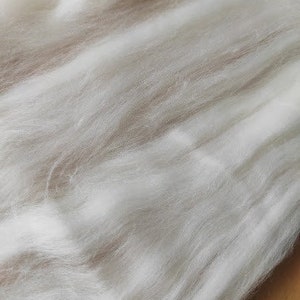 The price for 100 grams (3,52 oz)! 19 Micron, Wool merino tops, white