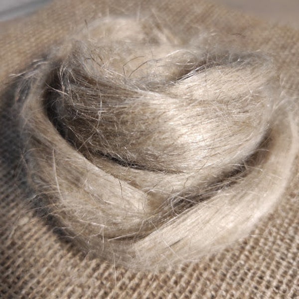 20 gr- 0,70 oz, Flax roving fiber, tops (combed sliver), natural color