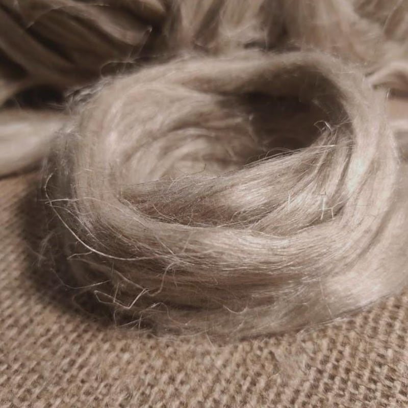 FeltLiudaVladi - Etsy