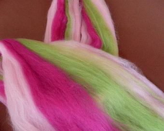 50gr- 1.76 oz Multicolour Merino Wool Roving/Top 21 Micron (Flower fairy)