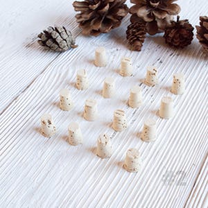 Small Cork Stoppers: Mini Corks for Bottles, Crafts, and DIY Projects, Size #2 (Set of 10)