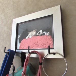 Pet Leash Holder, Brushed Silver Photo Frame, Memorial Key Holder image 1
