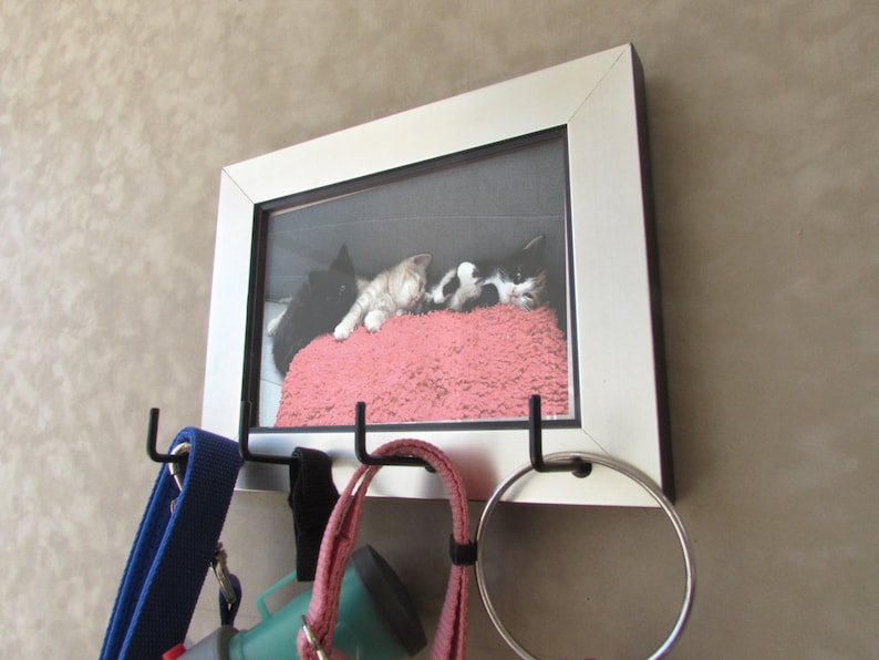 Pet Leash Holder, Brushed Silver Photo Frame, Memorial Key Holder image 1