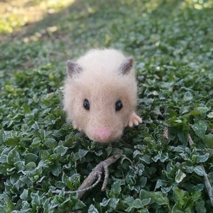 Needle felt hamster Long hair hamster replica Felted pet sculpture Soft hamster sculpture Pet lovers gift Custom hamster keepsake Pet loss