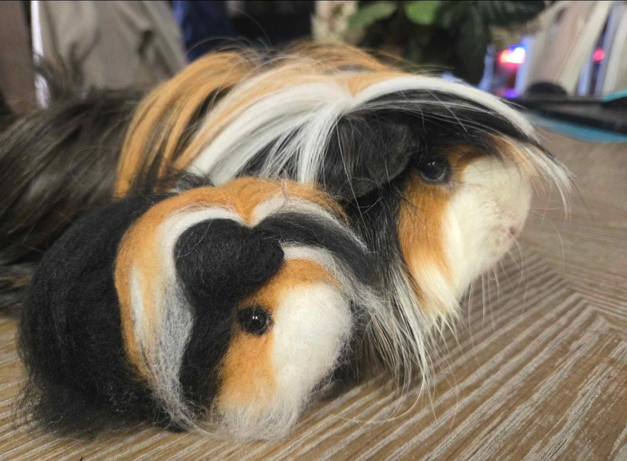 Best guinea pig toys uk sale