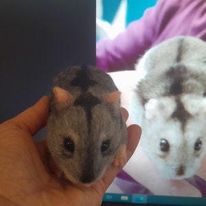 Needle felt hamster Custom hamster replica Soft hamster sculpture Pet memory gift Pet loss Hamster miniature Hamster replica from photo