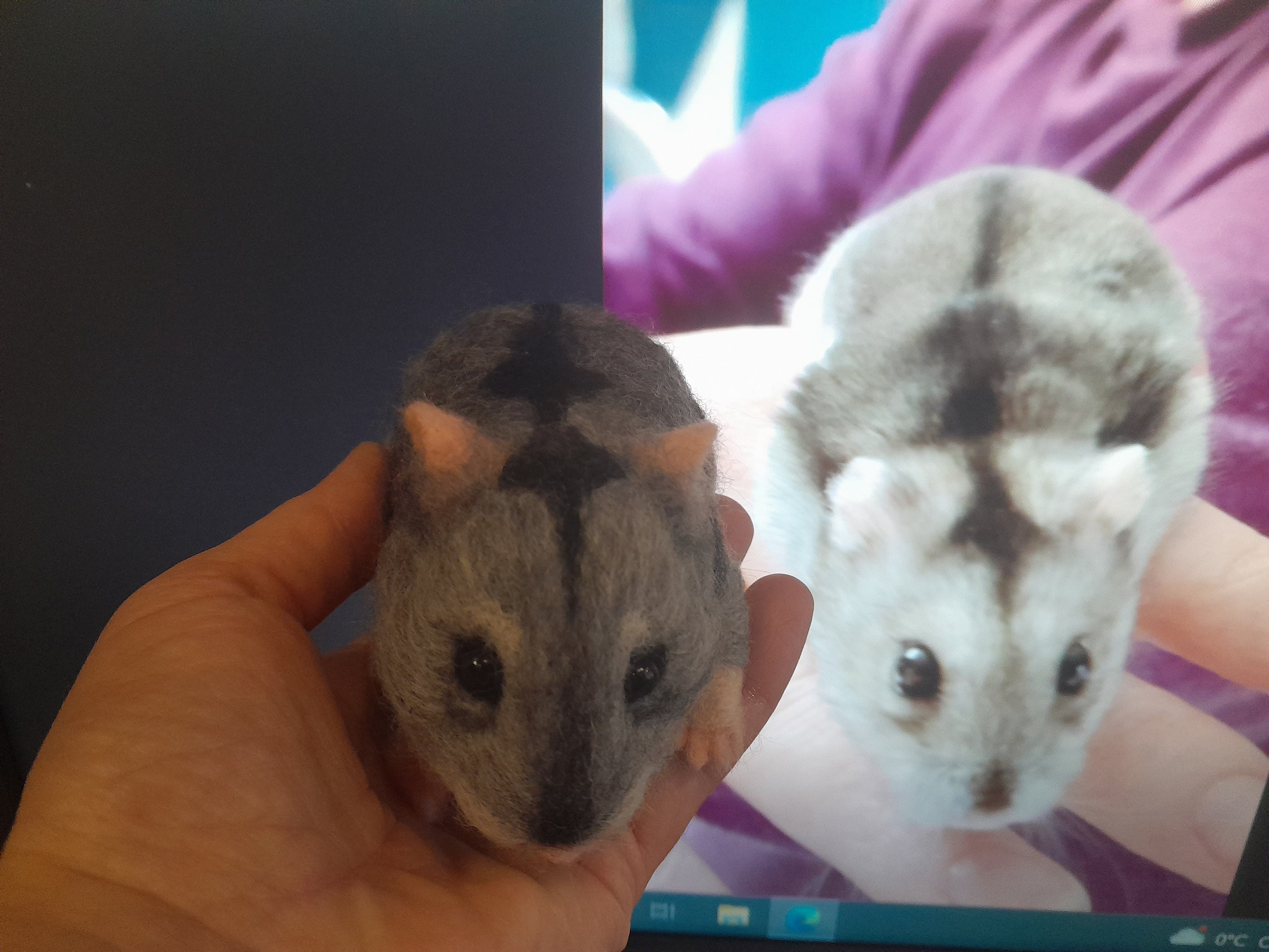 Cuddle clones hamster