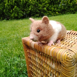 Custom needle felt hamster Realistic animals Hamster sculpture Stuffed animal Collectable doll Plush pet Tiny pet figurine Hamster miniature