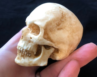 Mini calavera de resina fundida - varios colores. Muy detallado.