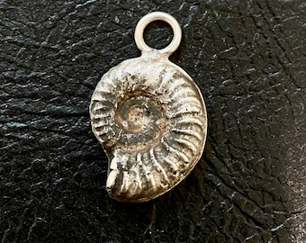 Pode incluir: Encanto de pingente de prata em forma de fóssil de amonite. O encanto tem uma superfície detalhada e texturizada e um laço na parte superior para prender a um colar ou pulseira.