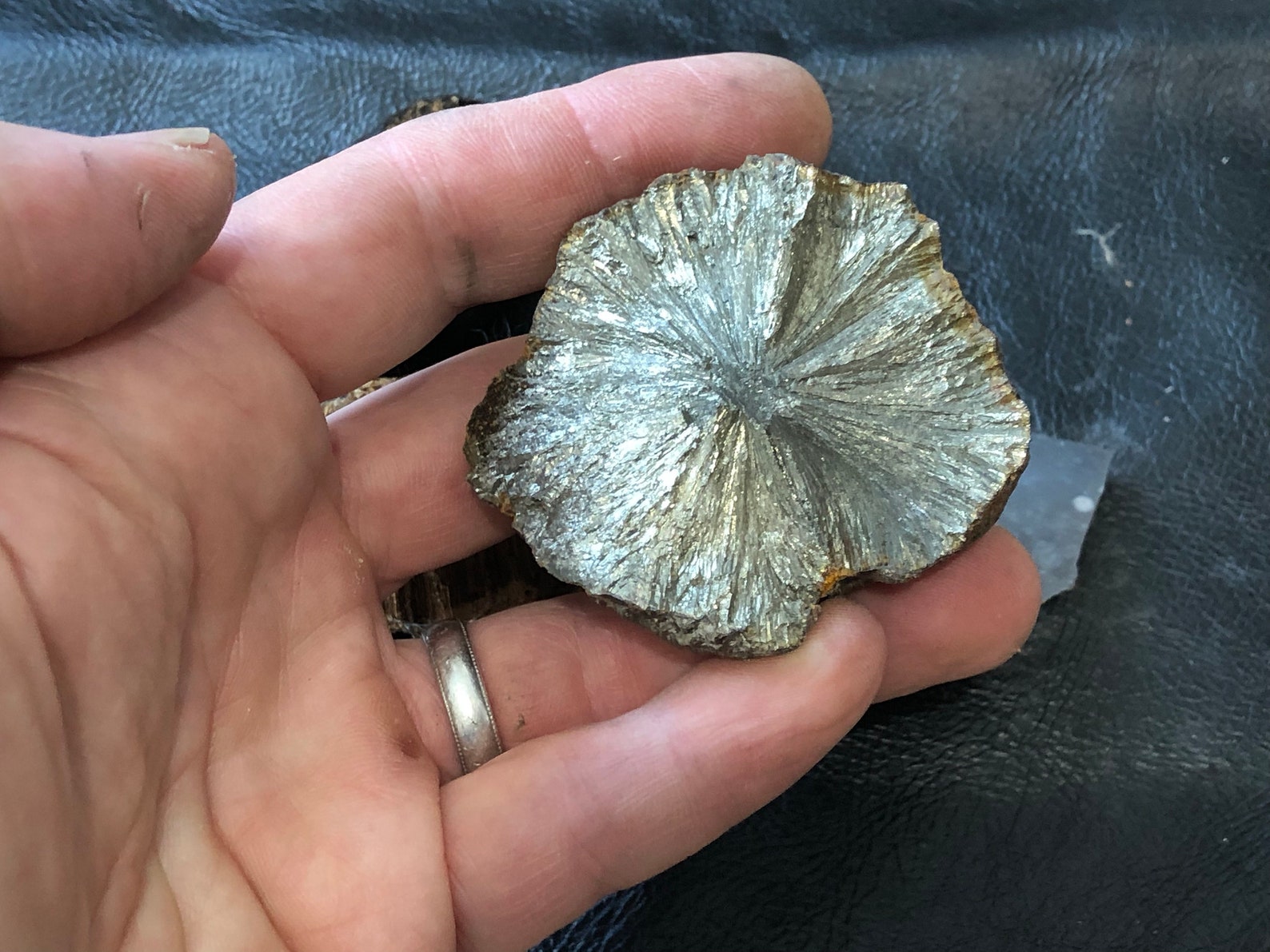 Primitive fire lighting kit Pyrite nodule / flint / fungus Etsy