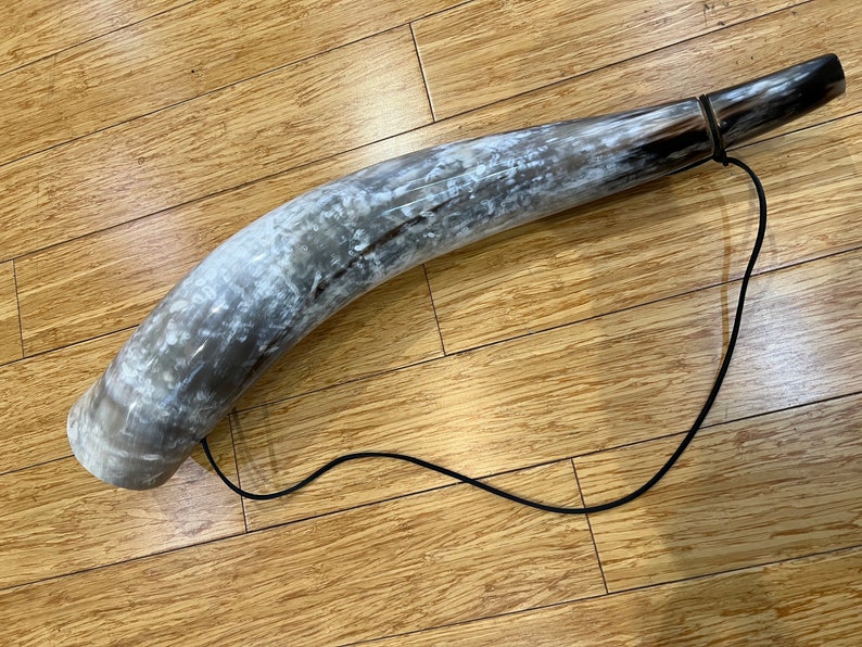 Natural Oxhorn Trumpet Blowing Horn. Viking / Saxon Etsy UK