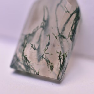 May include: A polished, shield-shaped moss agate gemstone featuring a translucent, milky white base with intricate, branching dark green inclusions that resemble delicate fern-like patterns throughout the stone's smooth, faceted surface.