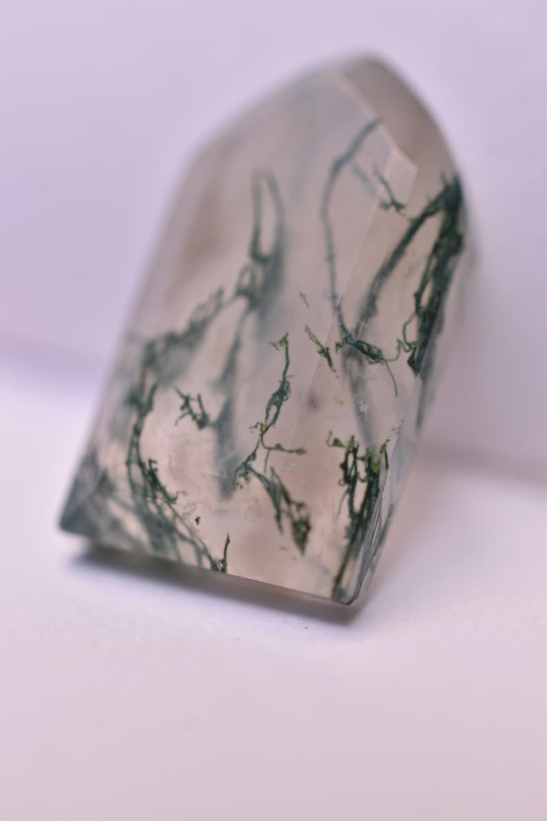 May include: A polished, shield-shaped moss agate gemstone featuring a translucent, milky white base with intricate, branching dark green inclusions that resemble delicate fern-like patterns throughout the stone's smooth, faceted surface.