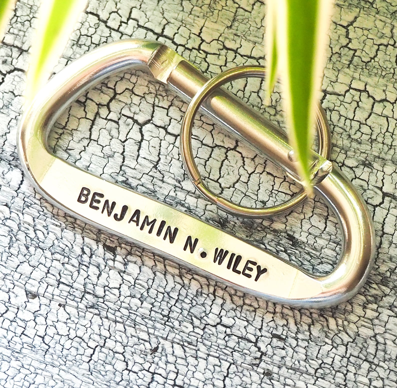 Personalized Carabiner Keychain: Custom Latitude Longitude Silver ...
