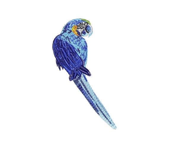 Macaw Embroidery Design 5 Different Sizes for Instant Download