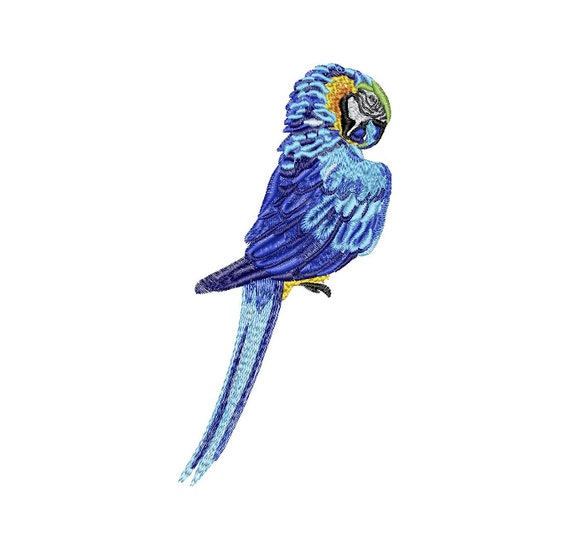 Macaw Embroidery Design 5 Different Sizes for Instant Download