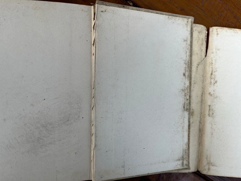 May include: Close-up of the spine of a book with a white cover and a decorative pattern along the edge. The book is closed and the pages are visible.