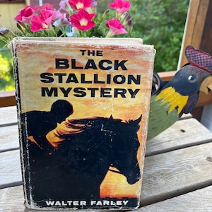 May include: A vintage paperback book titled "The Black Stallion Mystery" by Walter Farley. The cover features a silhouette of a black horse and a rider against a sunset background.