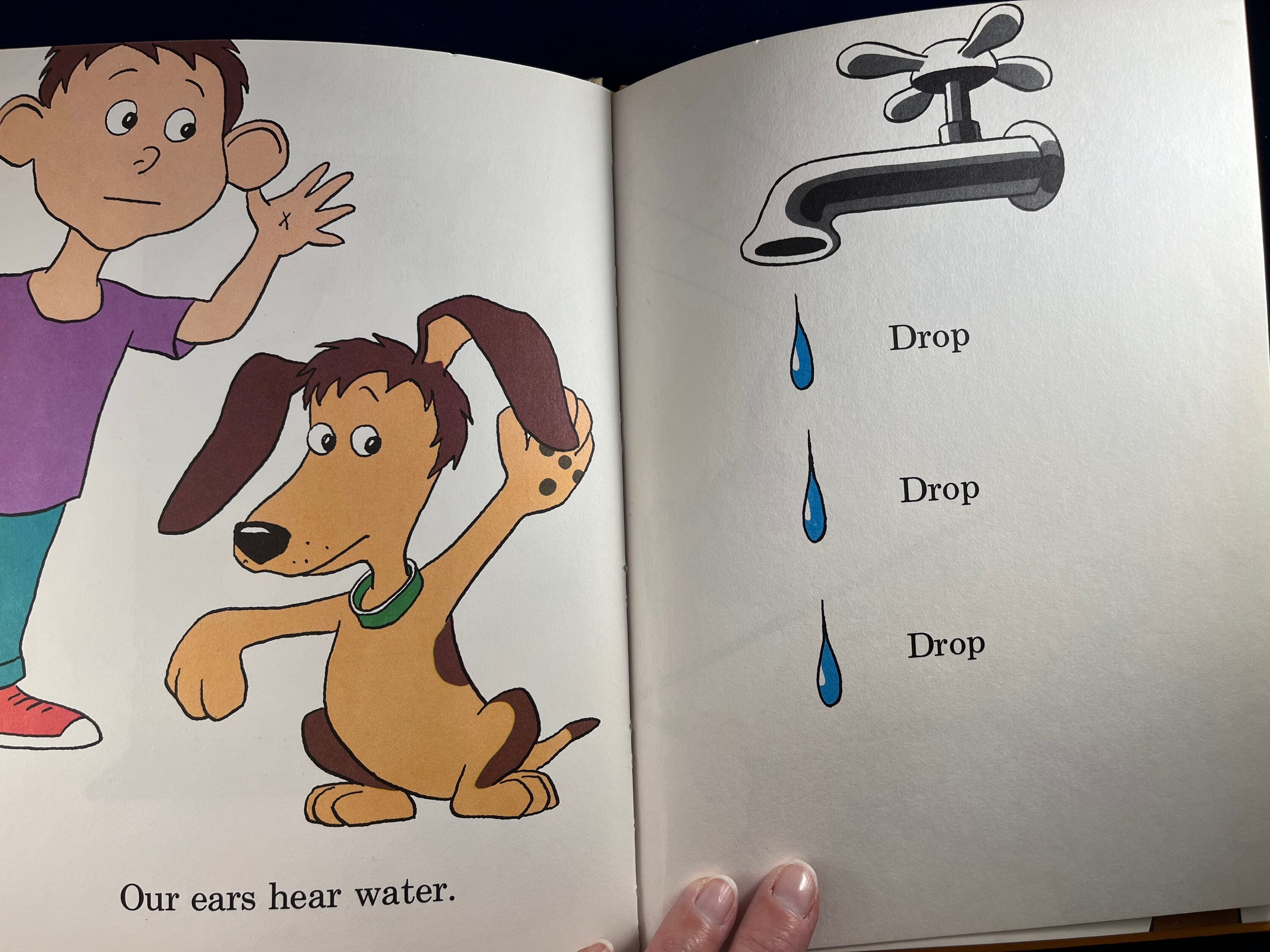 The Ear Book by Al Perkins Dr. Seuss Book Club Edition 1968 Etsy