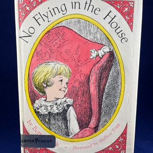 no flying in the house book