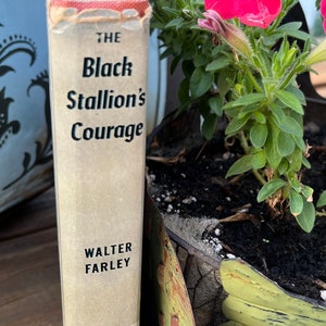 May include: A vintage paperback book titled "The Black Stallion's Courage" by Walter Farley. The book is sitting on a wooden surface next to a potted plant with pink flowers.