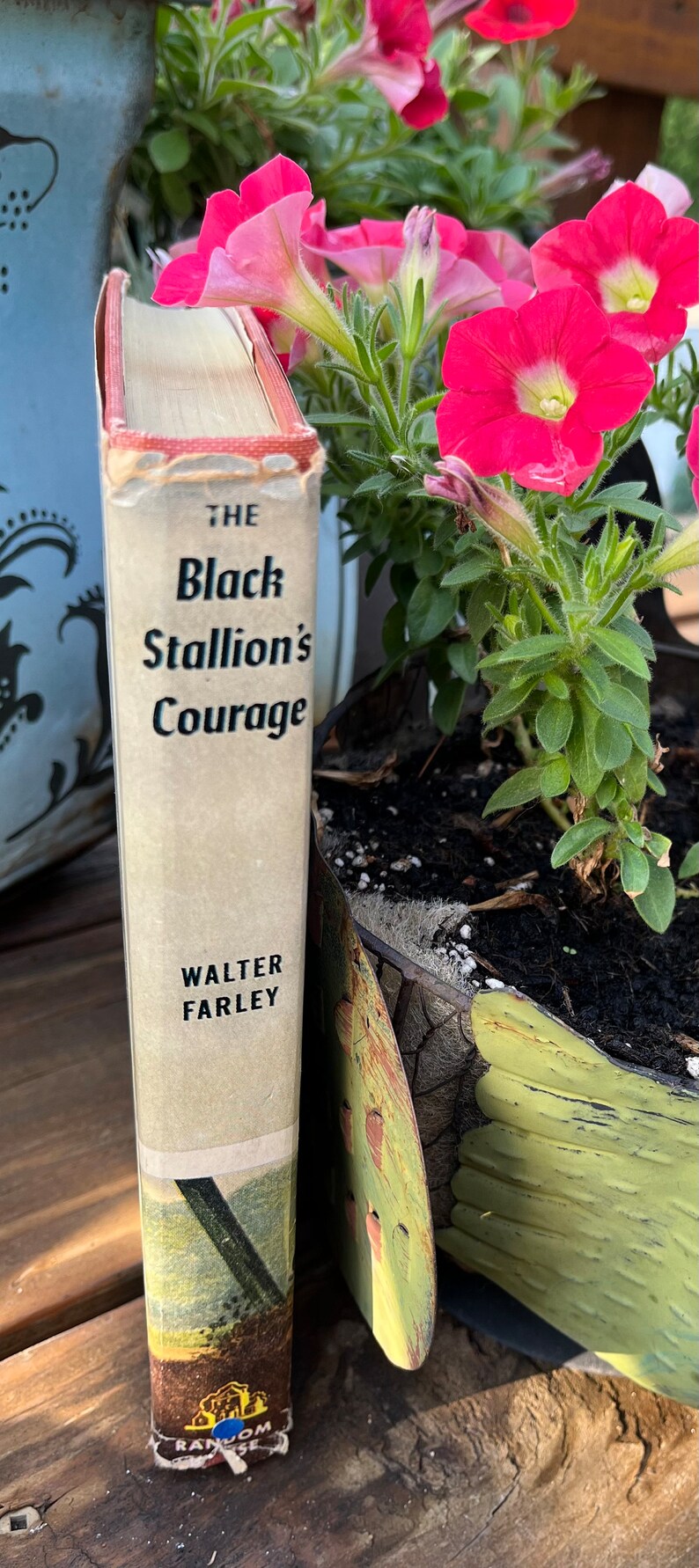 May include: A vintage paperback book titled "The Black Stallion's Courage" by Walter Farley. The book is sitting on a wooden surface next to a potted plant with pink flowers.