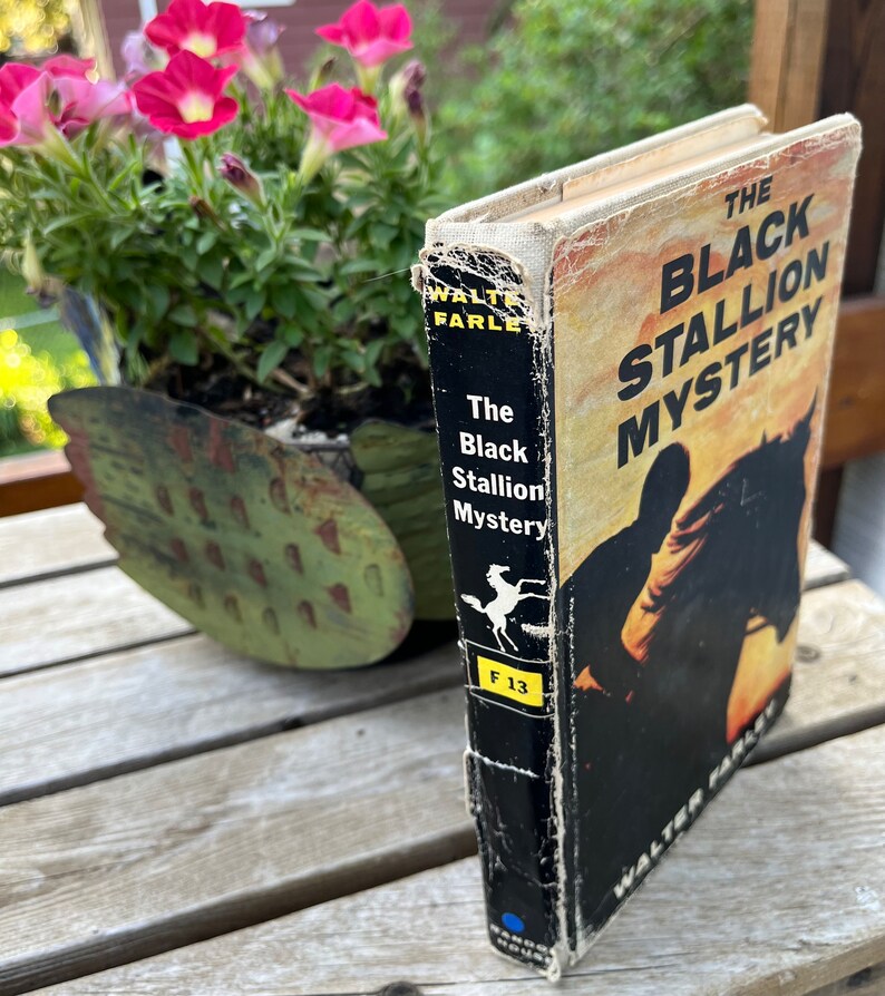 May include: A vintage paperback book titled "The Black Stallion Mystery" by Walter Farley. The cover features a black horse and a rider in silhouette against a sunset background. The book is in good condition with some wear and tear on the edges.