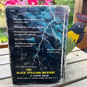 May include: The back cover of a paperback book titled "The Black Stallion Mystery" by Walter Farley. The cover features a dark blue background with lightning bolts and the text "Who ran in the moon and set the mountains afire?"  "Who could not resist easy plunder?"  "Who spent years sitting before an empty stall, waiting?"  "Who sought revenge?"  "Who played a dangerous game on horseback?"  "Who sent a stud to catch a stud?"  "You'll find the answers in THE BLACK STALLION MYSTERY by WALTER FARLEY RANDOM HOUSE, 457 MADISON AVENUE, NEW YORK 22, N.Y."