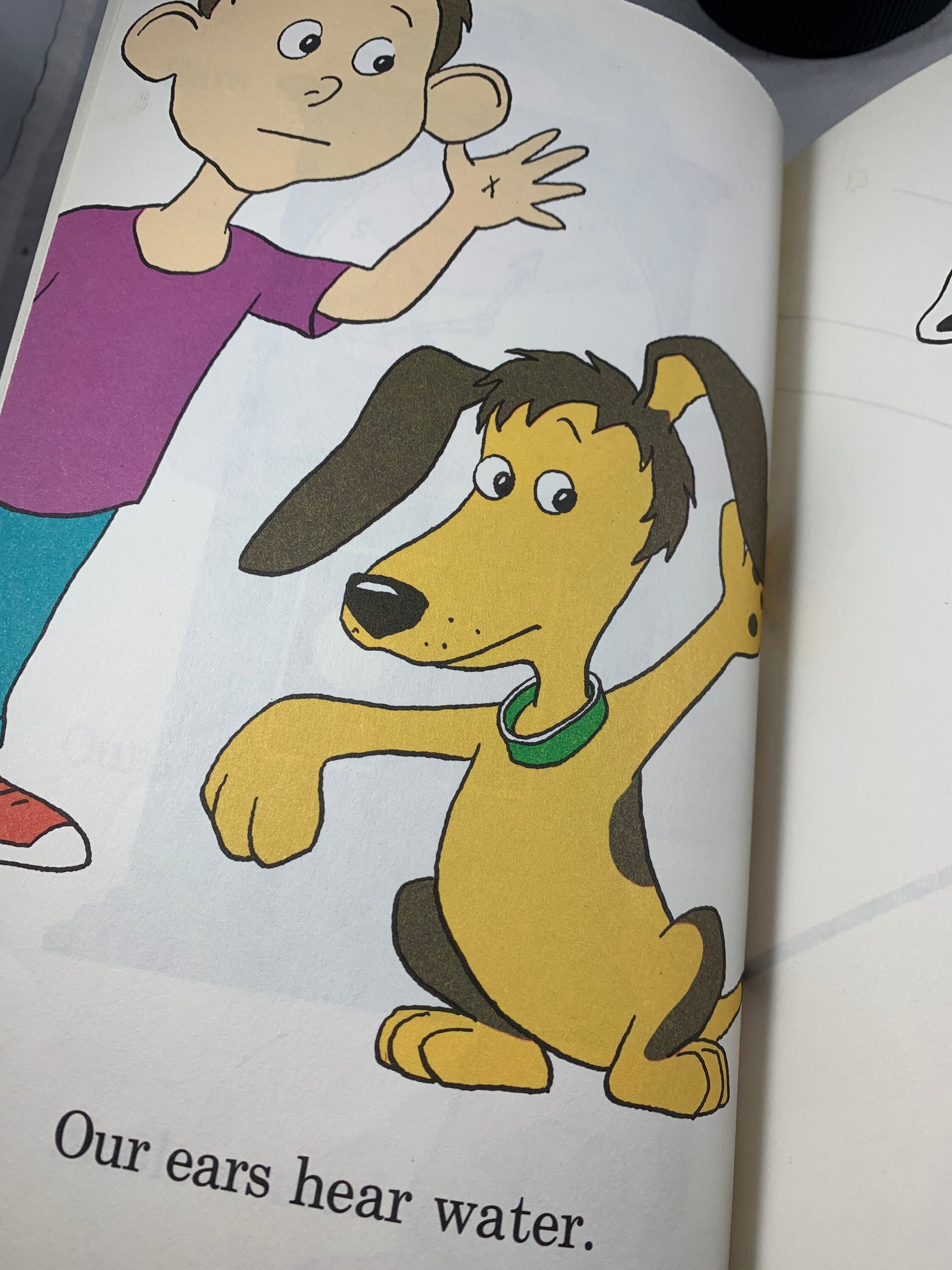 The Ear Book by Al Perkins Dr. Seuss 1968 Etsy