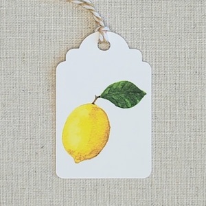 Lemon gift tags, Set of 9 all occasion present tags, Original watercolor tags, party favor goody bag tags