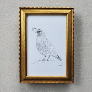 ART PRINT: Black Ink Quail Art Print, Art Print, Original Ink Art Print, Giclee Art Print, Quail Sketch
