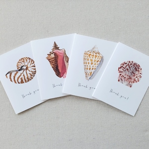 May include: Four thank you cards with different seashells on each. The cards are white with black calligraphy that says "Thank you".