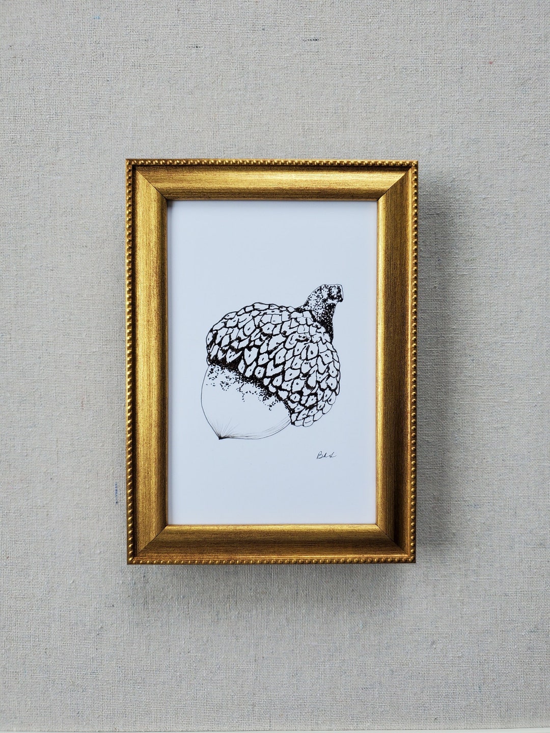 ART PRINT Black Ink Acorn Art Print, Art Print, Original Ink Art Print