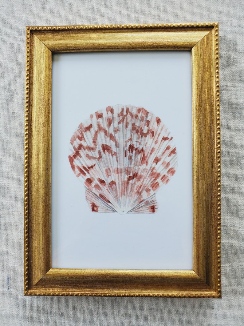 Detailed Shell Template ART PRINT: Watercolor Shell Art Print, Coastal Art Print, Original ...