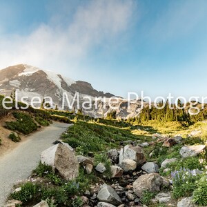 Mount Rainier DIGITAL file