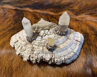 Finding Solace on the Ledge - Meditation, Spiritual Tool, Shamans Tool, Home Decor - Bracket Shelf Fungi, Citrine, Smokey Quartz Crystals