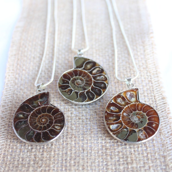 Gorgeous Ammonite Fossil Spiral Snail Nautilus Shell on Silver Setting Pendant Necklace on Choice of Sterling Silver Snake Chain